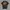 Hanes Vintage Y2K T-shirt Pria black photo 1