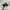 Made in USA Streetwear Skater Hat Pria black photo 3
