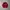 Tommy Hilfiger Luxury Casual Fleece Kids red photo 1