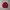 Tommy Hilfiger Luxury Casual Fleece Kids Red