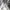 Streetwear Casual T-shirt Pria white photo 7