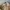 Vintage Streetwear Kids tan brown photo 4