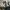 Nike Streetwear Sportswear Sneakers Pria cream photo 5