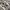Nike Streetwear Sportswear Sneakers Pria cream photo 1
