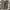 Nike Streetwear Sportswear Sneakers Pria cream photo 4