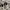 Nike Streetwear Sportswear Sneakers Pria cream photo 3