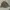Ehka Sopo Streetwear Biker Parka Pria tan khaki photo 2
