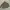 Ehka Sopo Streetwear Biker Parka Pria tan khaki photo 1