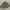 Ehka Sopo Streetwear Biker Parka Pria Tan Khaki