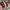 Streetwear Sportswear Sneakers Pria red photo 3