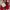 Streetwear Sportswear Sneakers Pria red photo 2