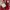 Streetwear Sportswear Sneakers Pria Red