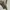 H&M Streetwear Casual Hoody Pria white tan photo 4
