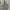 H&M Streetwear Casual Hoody Pria White Tan