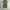 Stussy Vintage Streetwear Pria green photo 3