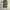 Stussy Vintage Streetwear Pria green photo 1