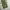 Stussy Vintage Streetwear Pria green photo 5