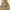 The Hundreds Streetwear Skater Hoody Pria yellow photo 4
