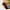 The Hundreds Streetwear Skater Hoody Pria yellow photo 5