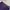Streetwear Jeans Pria purple photo 7