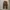 Streetwear Jeans Pria brown photo 5
