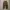 Streetwear Jeans Pria brown photo 1