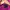 Mammut Sportswear Windbreaker Wanita purple pink photo 5
