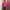 Mammut Sportswear Windbreaker Wanita Purple Pink