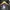 Gorpcore Sportswear Windbreaker Pria purple black photo 6