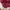 Gorpcore Casual Windbreaker Pria burgundy photo 8