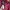 Gorpcore Casual Windbreaker Pria burgundy photo 4