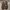 Valentino Luxury Casual Sneakers Wanita white photo 3