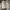 Valentino Luxury Casual Sneakers Wanita white photo 6