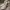 Valentino Luxury Casual Sneakers Wanita white photo 1
