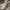 Valentino Luxury Casual Sneakers Wanita White