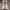 Valentino Luxury Casual Sneakers Wanita white photo 2