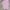 Y2K Fairy Crop Top Wanita Pink