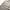Dickies Vintage Formal pants Pria khaki photo 7