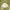Vintage Y2K Mini skirt Wanita white photo 1