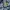 Avirex Vintage Casual Casual shirt Pria blue photo 3