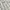 Tommy Hilfiger Y2K Skater Formal shirt Pria white gray photo 2