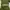 Lolita Casual Wanita green photo 3