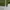 Lolita Casual Wanita green photo 4