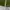 Lolita Casual Wanita green photo 5