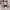 Nike Air Jordan Streetwear Sportswear Sneakers Pria red black photo 1