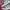 Adidas Streetwear Casual Sneakers Pria white gray photo 2