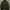Uniqlo Casual Bomber jacket Pria green photo 1