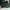 Polo Ralph Lauren Vintage Streetwear Hoody Pria green photo 4