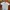 Polo Ralph Lauren Luxury Casual T-shirt Pria White