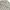 Hush Puppies Grunge Indie Casual shirt Pria cream photo 4